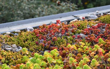 the cost of Warthermarske green roof installation