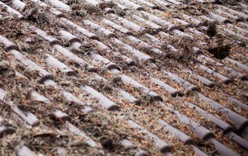 Warthermarske roof cleaning companies